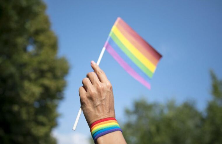 Vitória LGBT: PL 504/20 recebe emenda e volta para comissões na Alesp